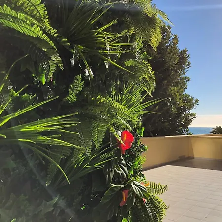 Готель Palm Garavan 3*