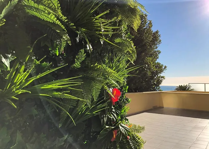 Szálloda Palm Garavan 3*